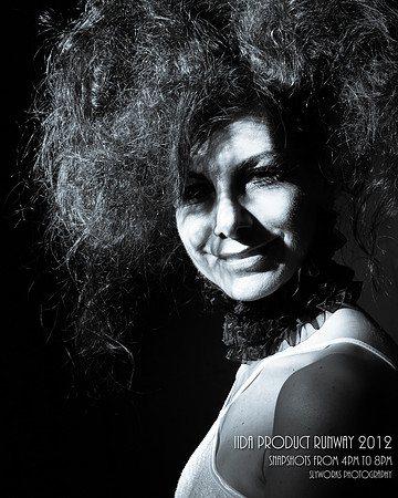 IIDA Product Runway 2012 - part one