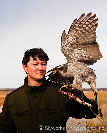 The Fellowship of the Falconers