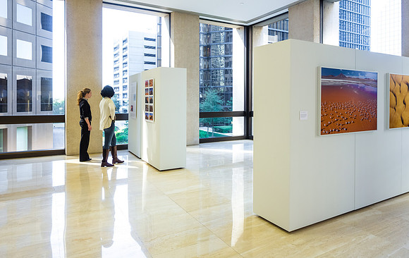Allen Center Art Installation Nov 2013