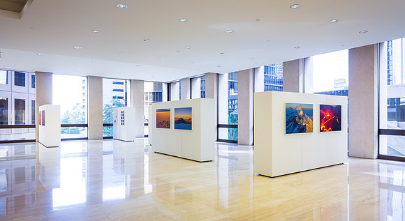 Allen Center Art Installation Nov 2013