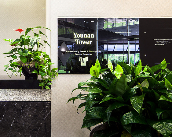 YOUNAN TOWER
