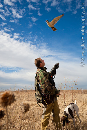 The Fellowship of the Falconers